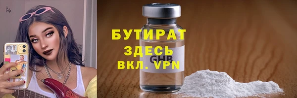 шишки Губаха