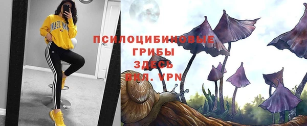 соль курить ск Приозерск