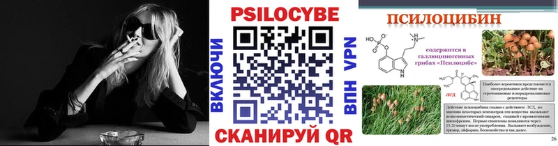 где можно купить   Усолье  Псилоцибиновые грибы Psilocybe 